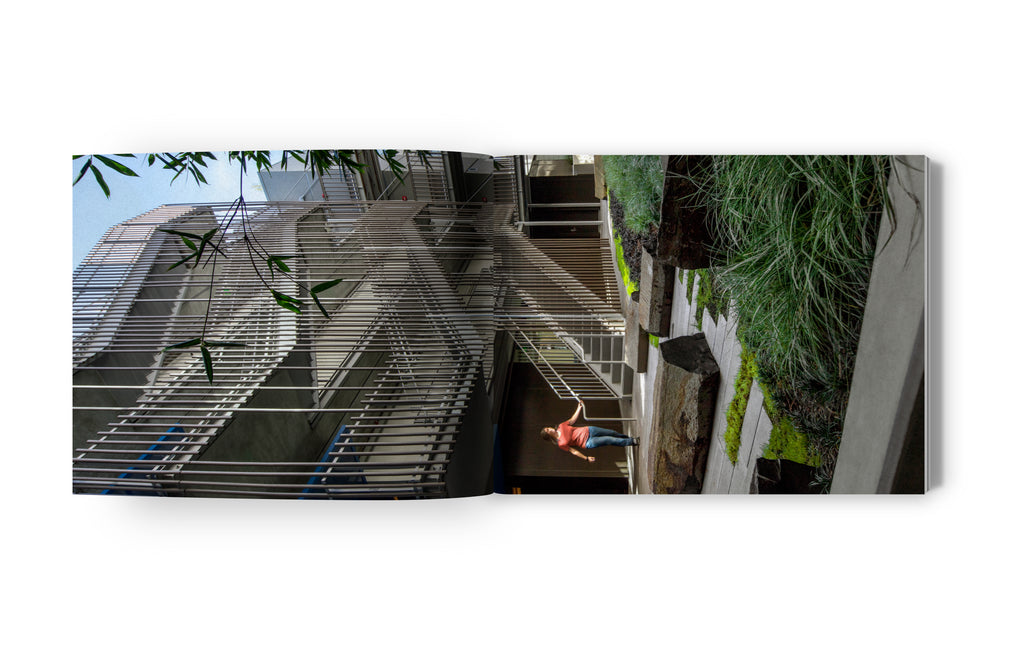 FOUGERON ARCHITECTURE: FRAMING LIGHT