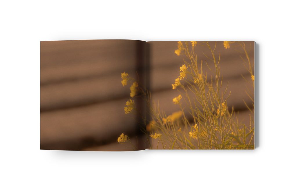 NATURE´S MUSE - Infusing Interiors With Tranquil Artistry Sustainable Living