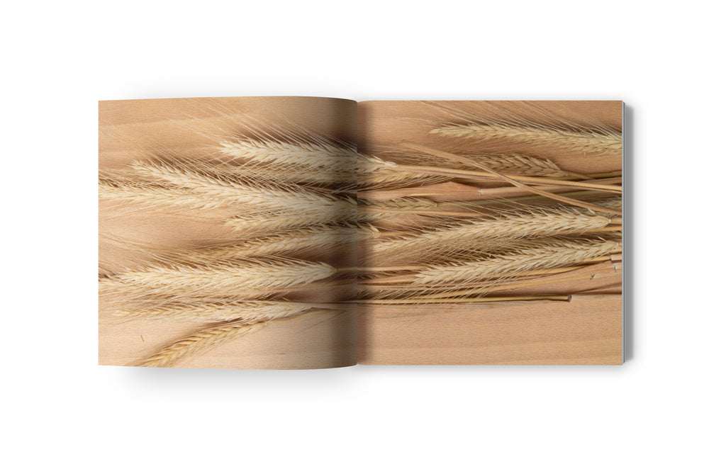 NATURE´S MUSE - Infusing Interiors With Tranquil Artistry Sustainable Living