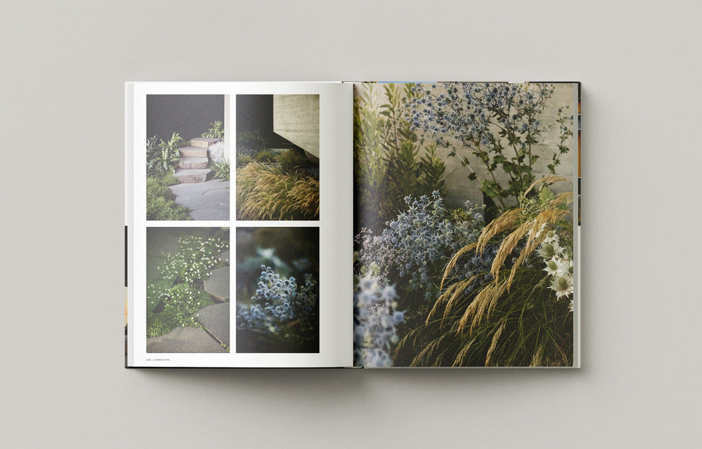 Liminal House: McLeod Bovell (Masterpiece Series Limited Edition in Slipcase)