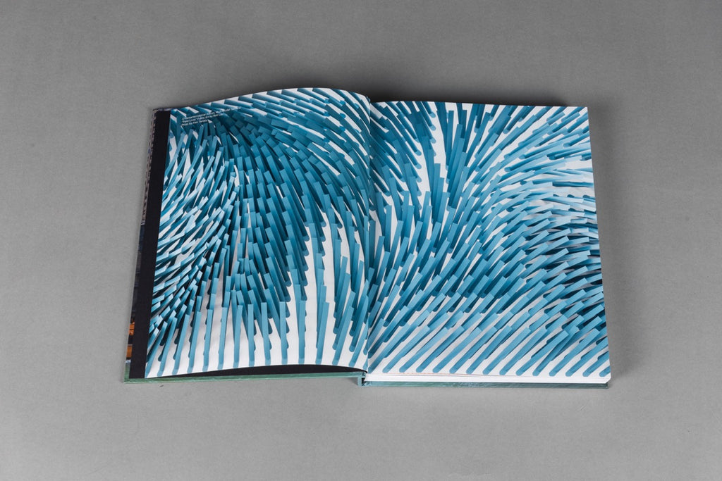 The People's Architect-Carol Ross Barney