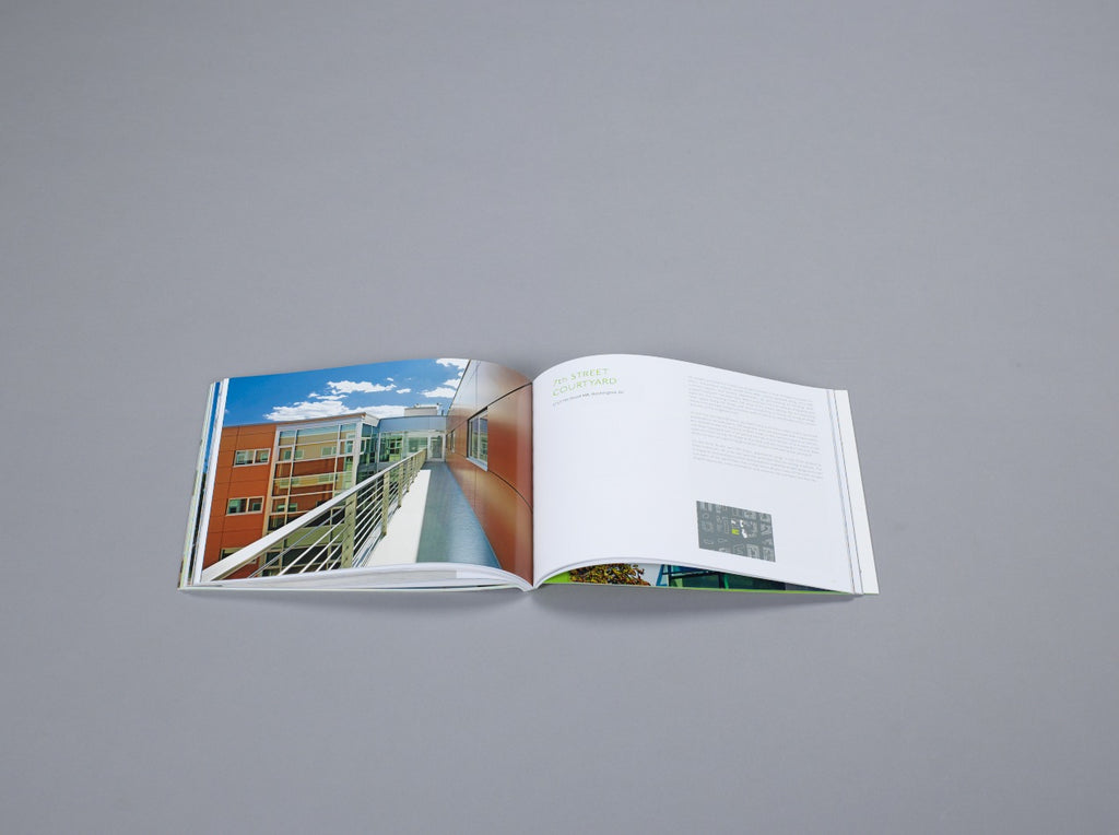 A Clear View: How Glass Buildings in the Inner City Transformed a Neighborhood