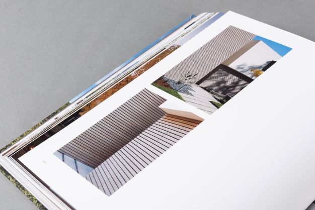 Immersed: The California Houses of Feldman Architecture