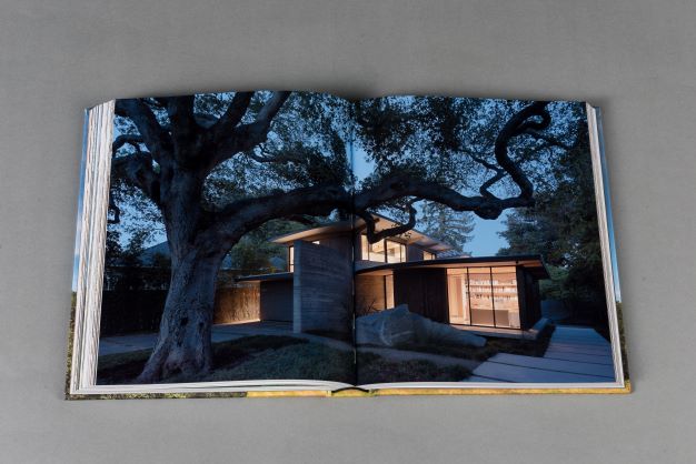 Immersed: The California Houses of Feldman Architecture