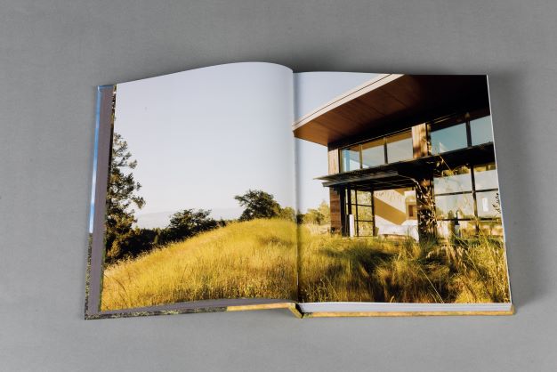 Immersed: The California Houses of Feldman Architecture