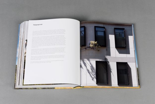 Immersed: The California Houses of Feldman Architecture