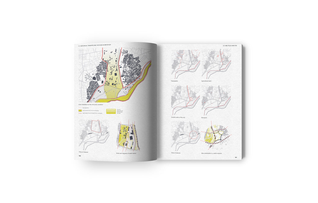 Transforming the Mid-Polis: Conversations on the Mid-Polis Condition