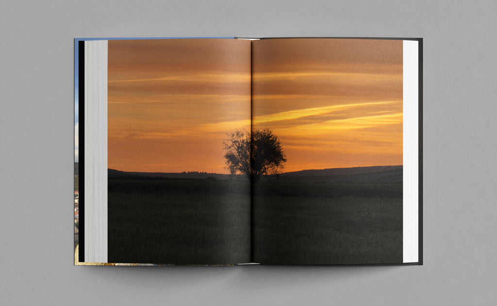<strong>MY CAMINO<br>MY WAY</strong><br> THE LONG WAY BACK TO MYSELF