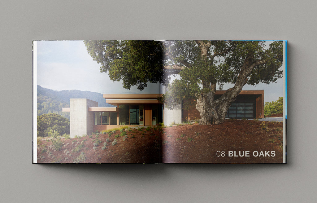 <strong>THE ARCHITECTURE OF SWATT + PARTNERS</strong>  <br>50 HOUSES | 50 YEARS