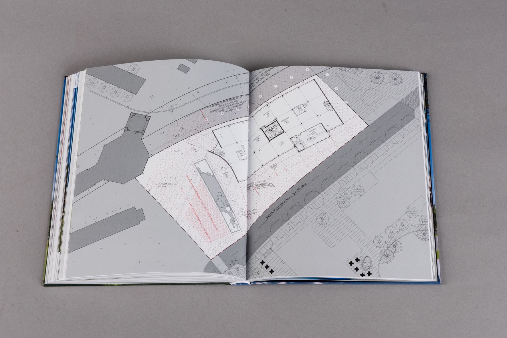 RESILIENCE IN CONCRETE The Thomas P. Murphy Design Studio Building ...